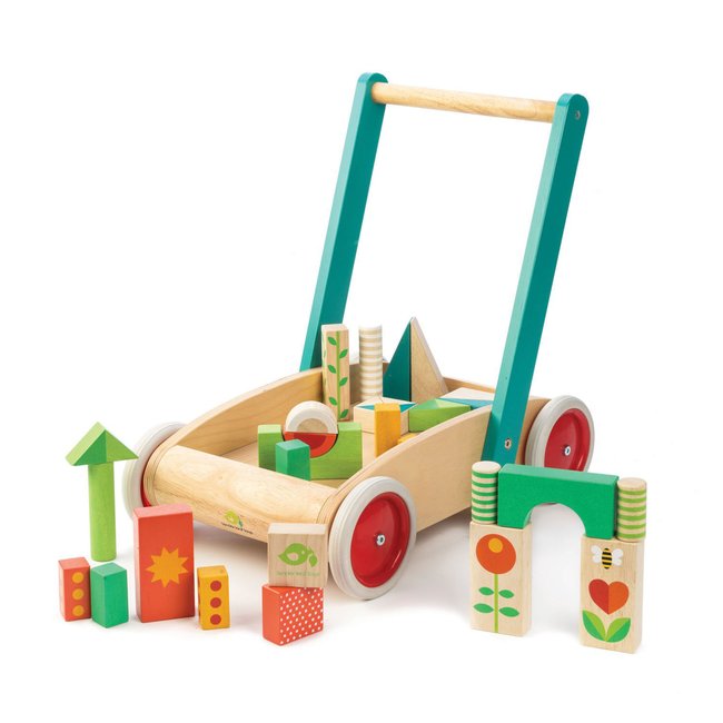 Chariot de marche avec blocs colorés - TENDER LEAF TOYS