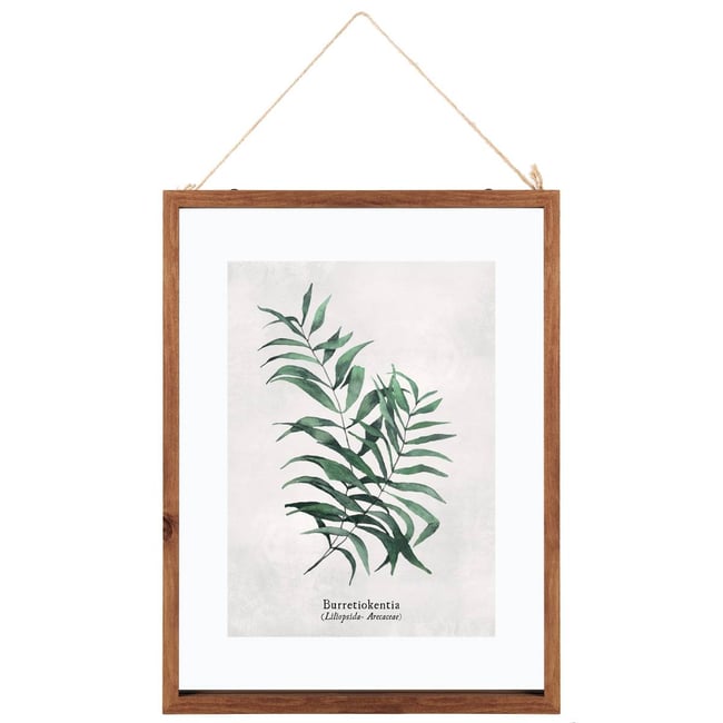 Cadre feuille ELODY Couleur multicolore <span itemprop=
