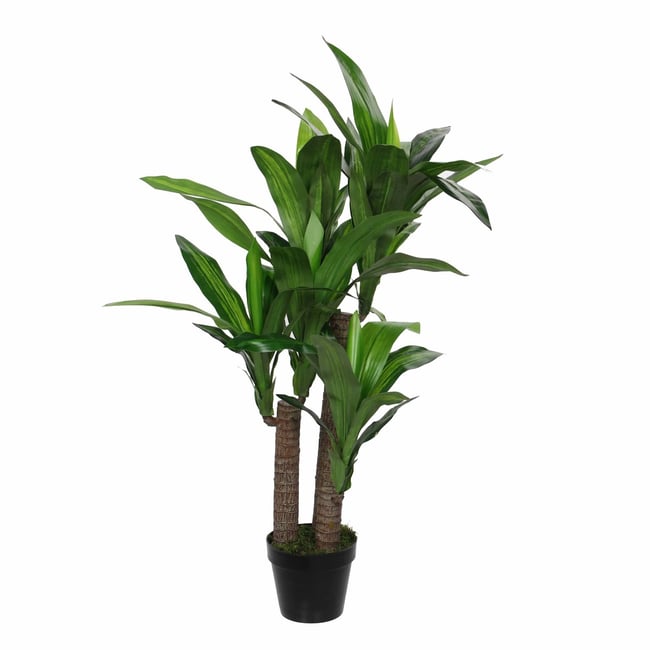 Plante artificielle DRACAENA Couleur vert <span itemprop=