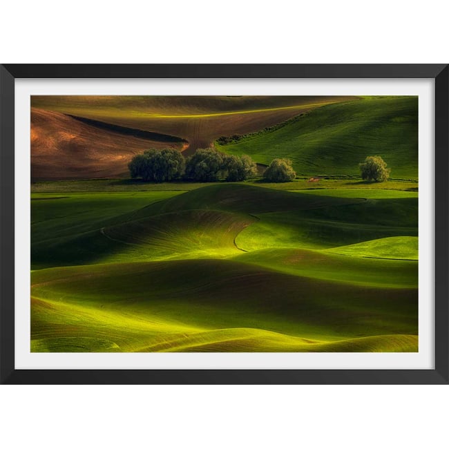 Affiche Colline USA - HEXOA