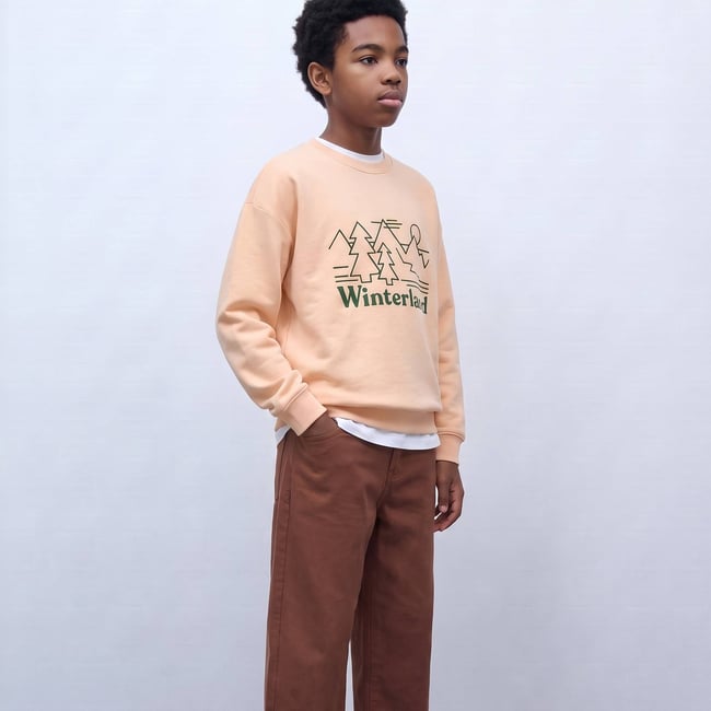 Sweat col rond rayé tricolore en coton BIO GOTS naturel <span itemprop=