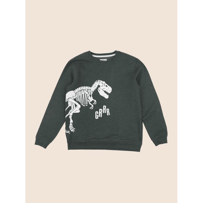Sweat - Très bon état vert <span itemprop=