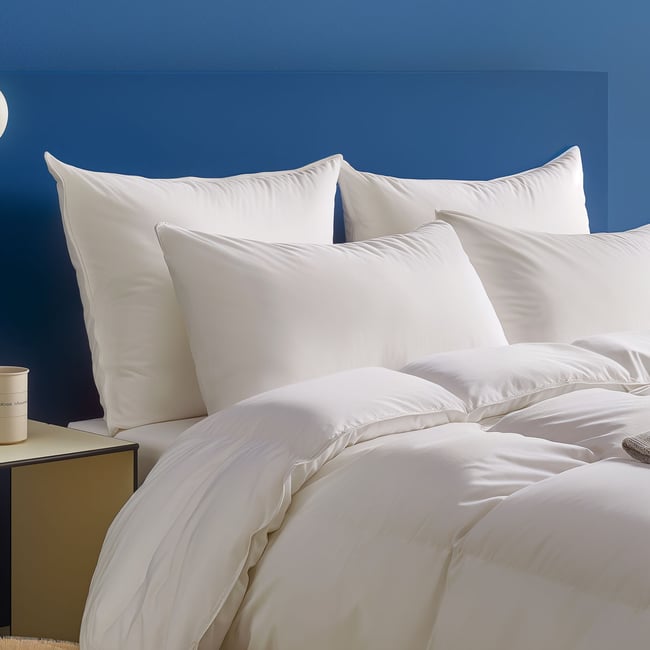 Oreiller Percale - MEDIUM Couleur blanc <span itemprop=