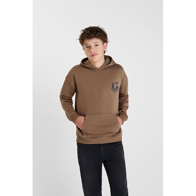Sweat-Shirt capuche DEFEBO brown <span itemprop=