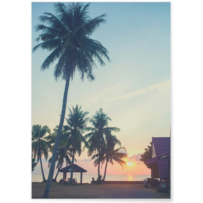 Poster Nature Tropicale 7 Couleur blanc <span itemprop=
