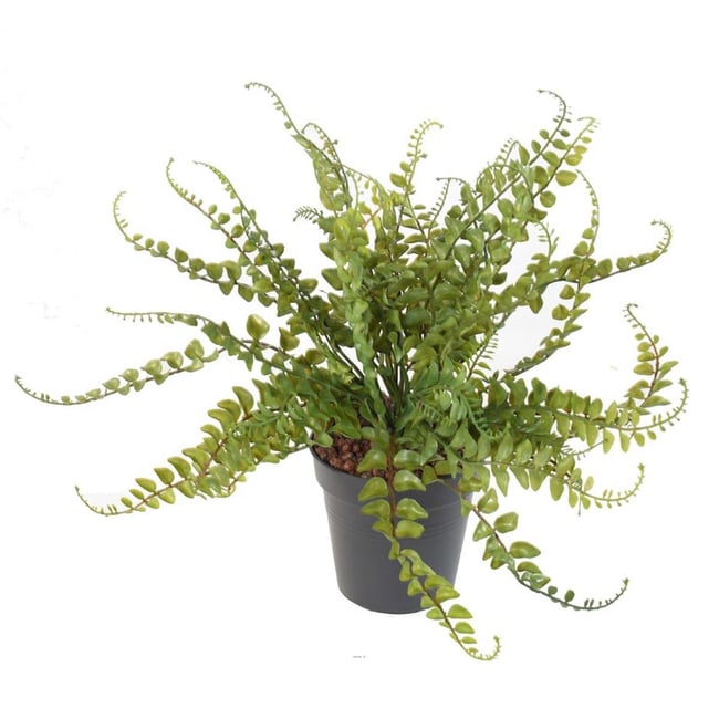 Fougère des forêts H38cm artificielle plast D Couleur v002239 <span itemprop=