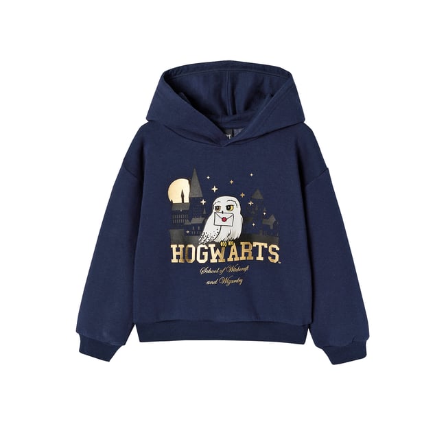 Sweat à capuche Harry Potter marine <span itemprop=