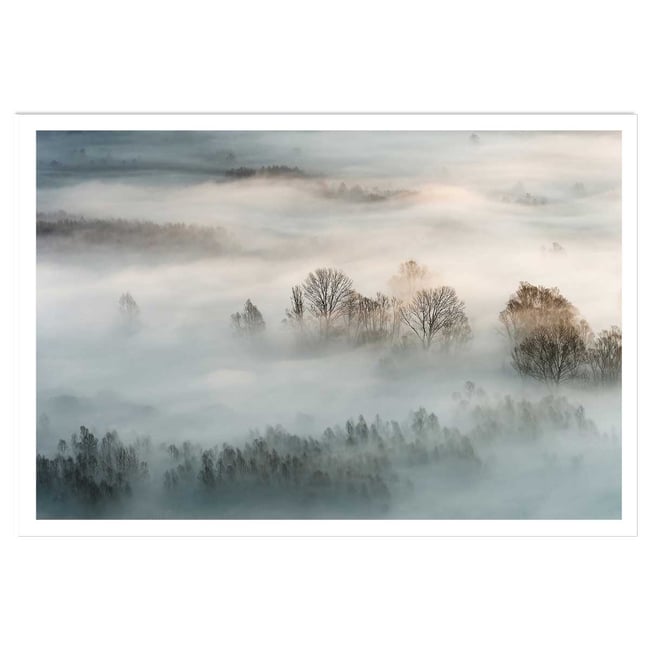 Affiche paysage brouillard hivernal - HEXOA