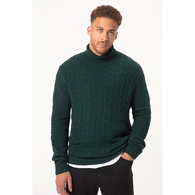 Pull-over à col roulé avocat <span itemprop=