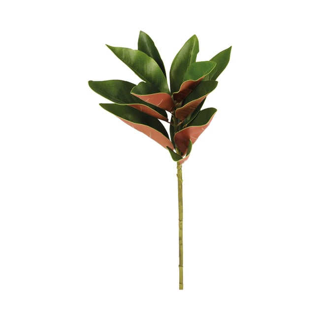 Tige de magnolia artificielle H76 Couleur vert <span itemprop=