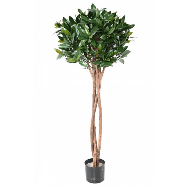 Laurier artificiel sur tronc pour extérieur Couleur vert <span itemprop=