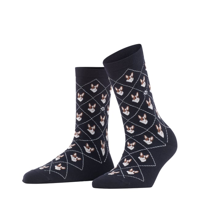 Chaussettes Corgi Opaque noir basique <span itemprop=