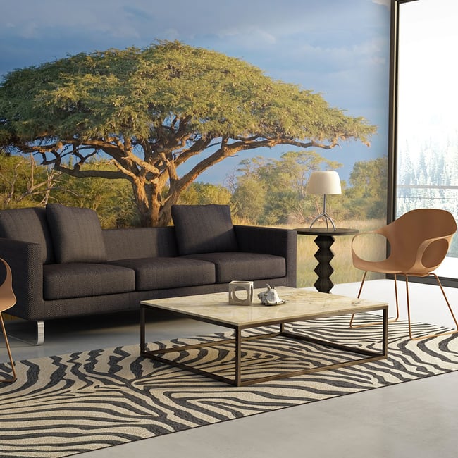Papier peint intissé panoramique Paysage Acacia africain - Parc national Hwange, Zimbabwe Couleur beige <span itemprop=