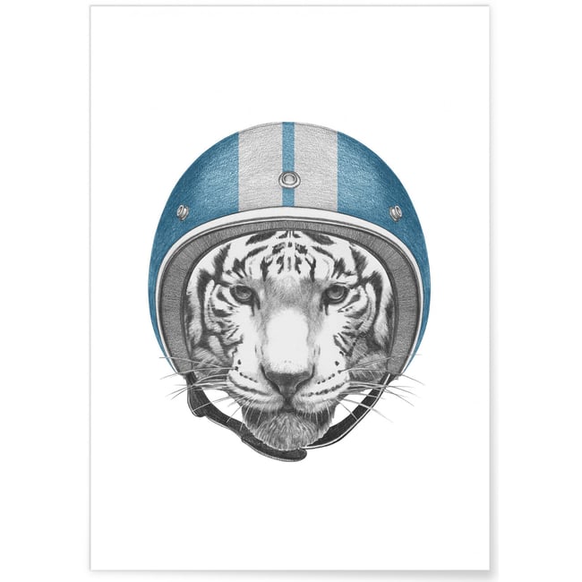 Poster Tigre blanc Couleur blanc <span itemprop=