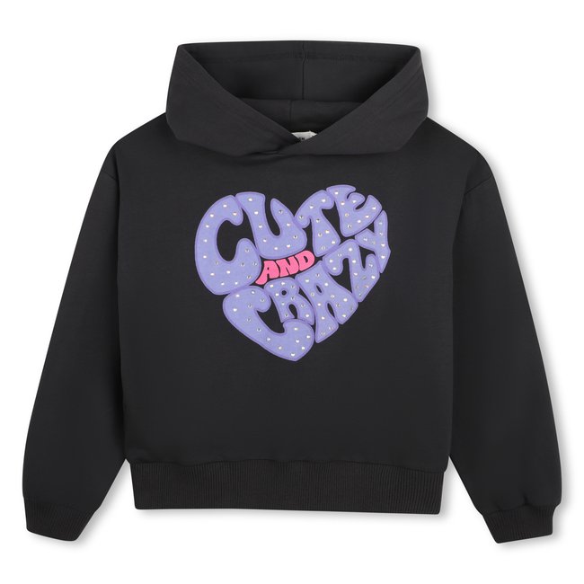 Sweat à capuche dark grey <span itemprop=