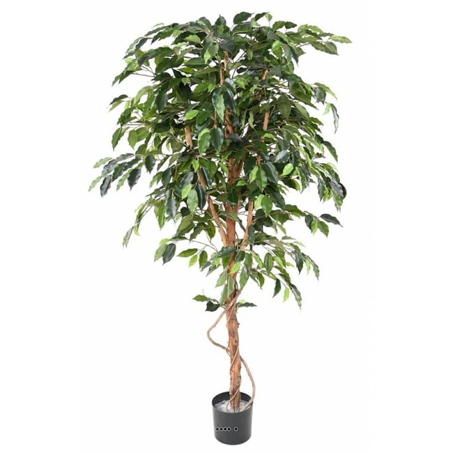Ficus Benjamina factice grande f Couleur vert <span itemprop=