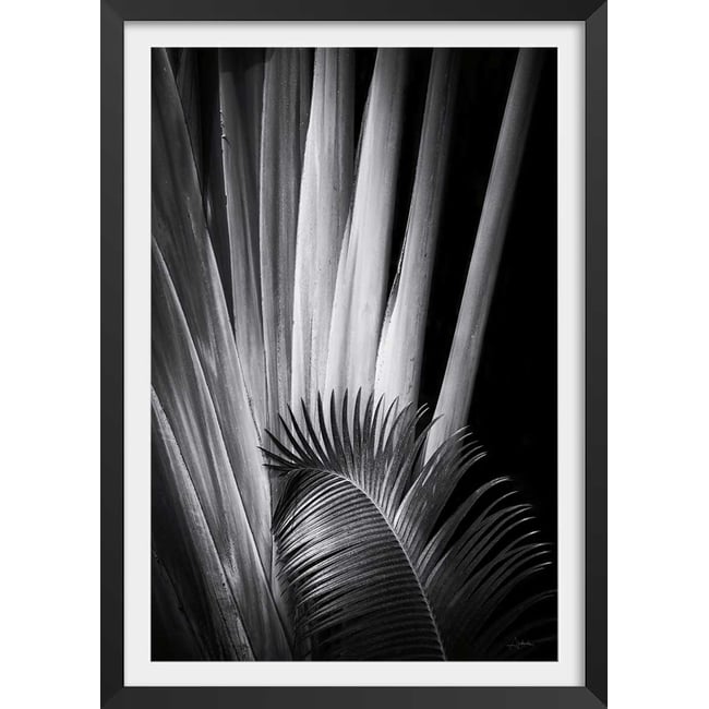 Poster jungle Marbella palm - HEXOA