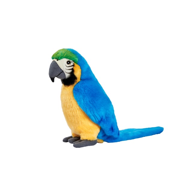 Peluche  Ara Bleu 27cm - ANIMA