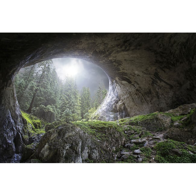 Tableau coup d'oeil au paradis - HEXOA