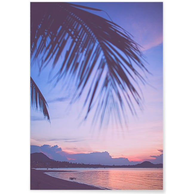 Poster Nature Tropicale 6 Couleur blanc <span itemprop=