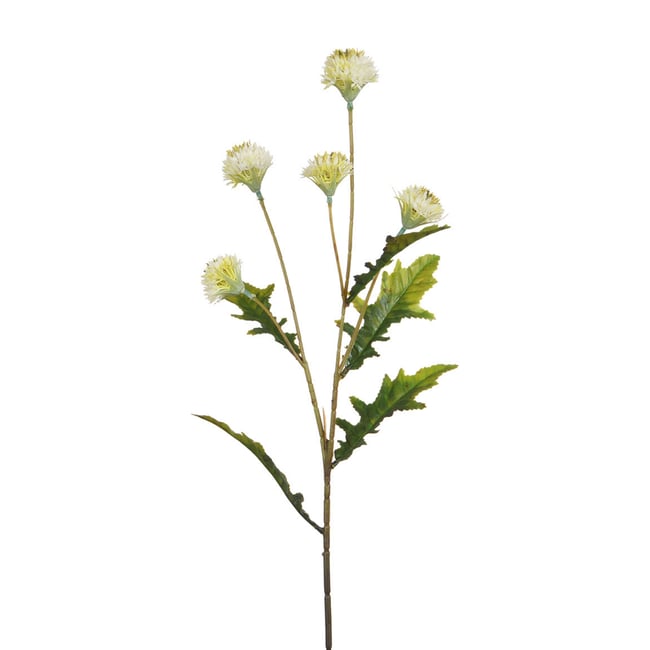 Tige de chrysanthème ping pong artificielle H62 LES ESSENTIELS - SIA