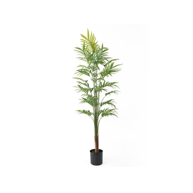 Plante Artificielle Plastique GOLD PALM TREE LARGE Couleur vert <span itemprop=