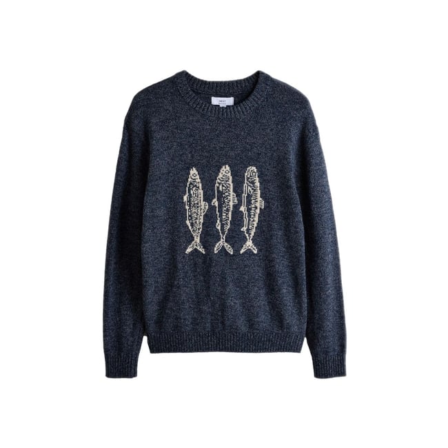 Pull ras du cou à motif sardine bleu <span itemprop=
