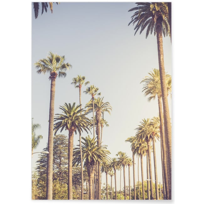 Poster Palmiers de Beverly Hills Couleur blanc <span itemprop=
