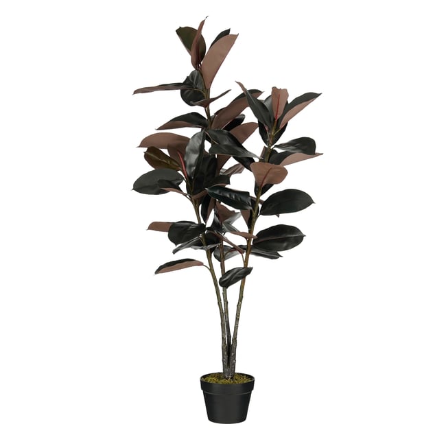 Plante artificielle RUBBERPLANT Couleur rouge <span itemprop=