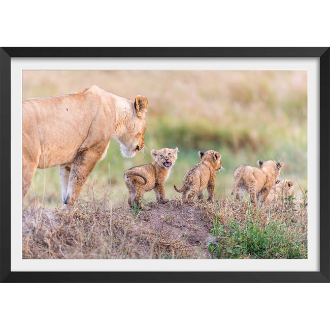 Affiche animaux let's go mom - HEXOA