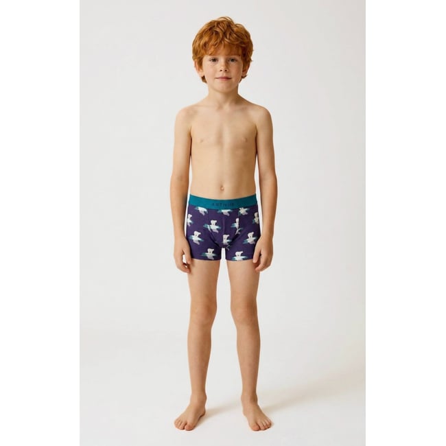 Boxer enfant en jersey de coton imprimé Pôle position marine <span itemprop=