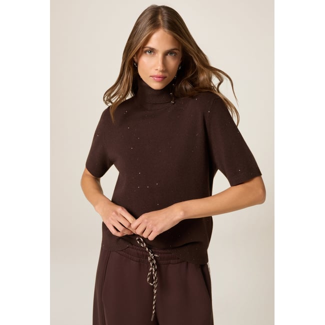 Pull à col roulé manches courtes marron <span itemprop=