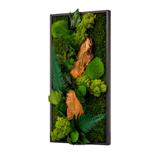 Grand Tableau Végétaux Stabilisés 27x57 Couleur multicolore <span itemprop=
