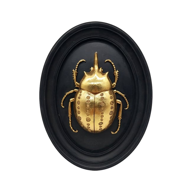 Déco murale scarabée 21x27cm Couleur noir <span itemprop=