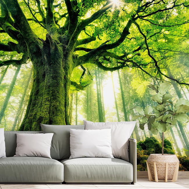 Papier peint l hetre de pontus en bretagne Couleur intissé <span itemprop=