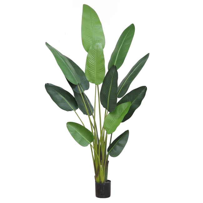 Plante artificielle oiseau du paradis 235cm Couleur vert <span itemprop=