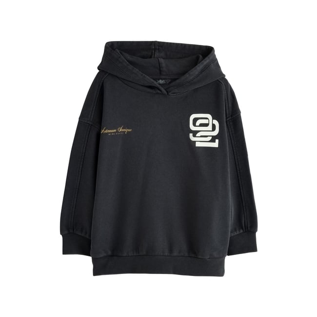 Sweat à capuche décontracté motif charbon lavé <span itemprop=