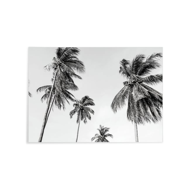 Affiche Palm Trees 8 Couleur blanc <span itemprop=
