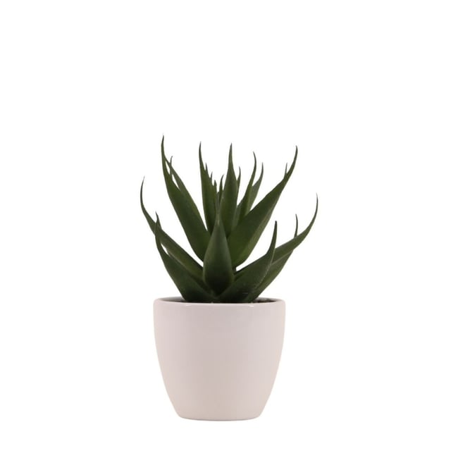 Plante grasse artificielle pot céramique 15cm Couleur blanc <span itemprop=