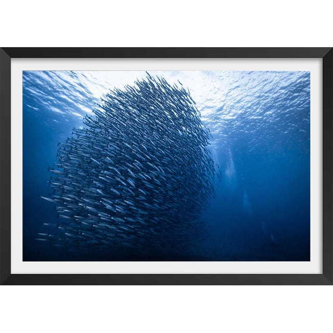 Affiche Masse bleue - HEXOA