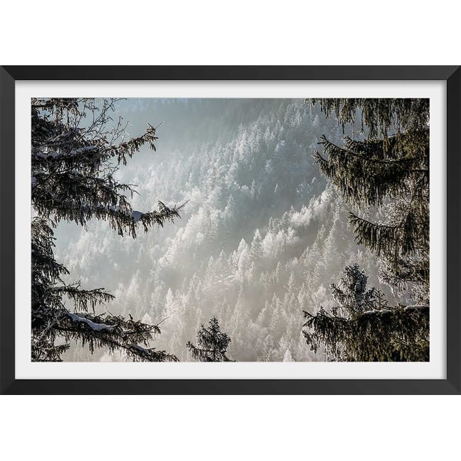Affiche paysage forest in fog drama - HEXOA