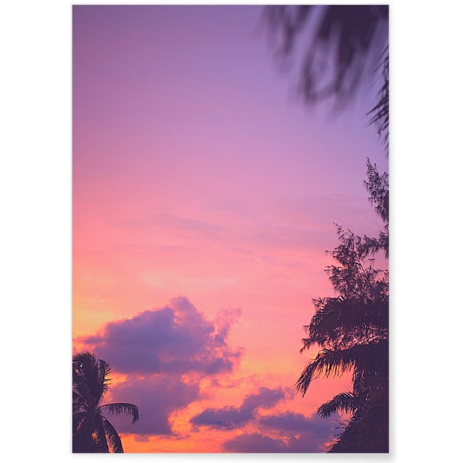 Poster Nature Ciel Rose 1 Couleur blanc <span itemprop=