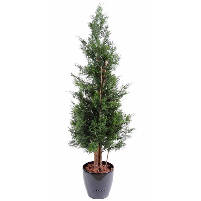 Cypres artificiel exterieur H 150 cm tronc Couleur v002239 <span itemprop=