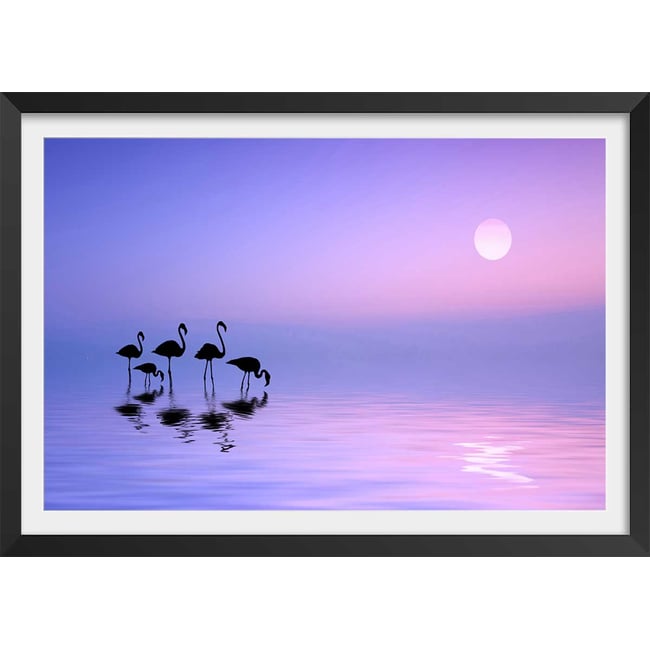 Affiche animaux Morning Flamingo - HEXOA