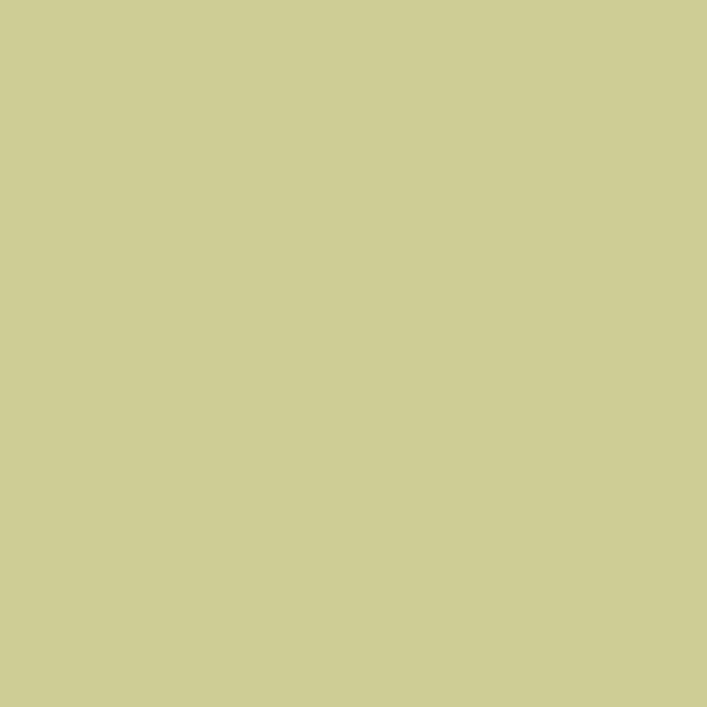 Water Based Eggshell Paint Lime Cloud, lime cloud, SANDERSON
