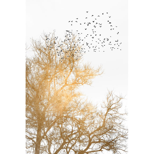 Tableau dessin Ciel d'or - HEXOA