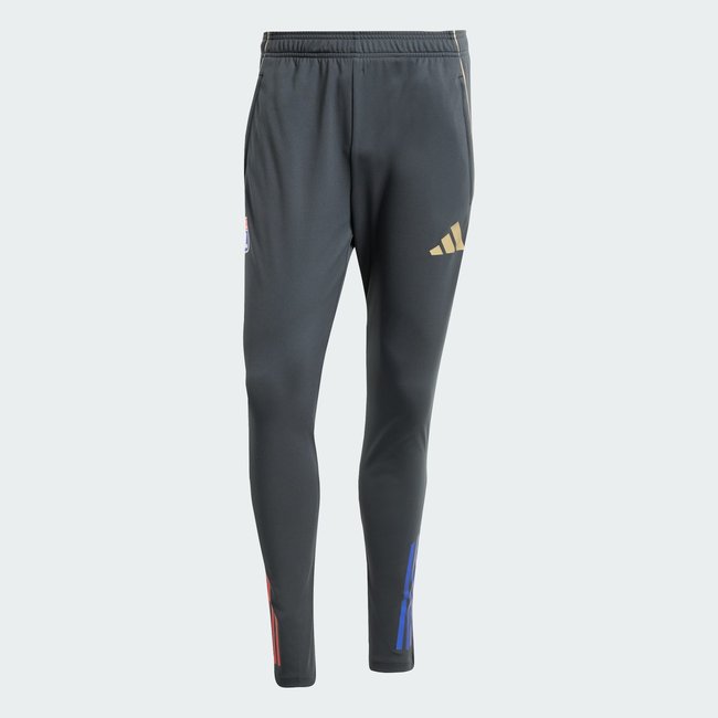Pantalon d'entraînement Olympique Lyonnais Tiro 25 Competition carbon / hazy beige <span itemprop=