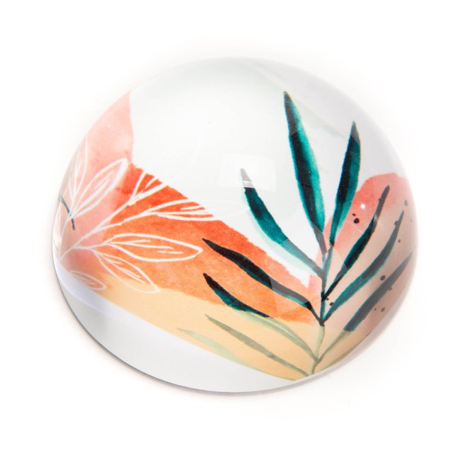 Presse papier  -PALMA Couleur transparent <span itemprop=
