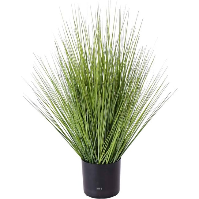 Isolepsis Herbes Graminees artificielles Vert Couleur v002239 <span itemprop=