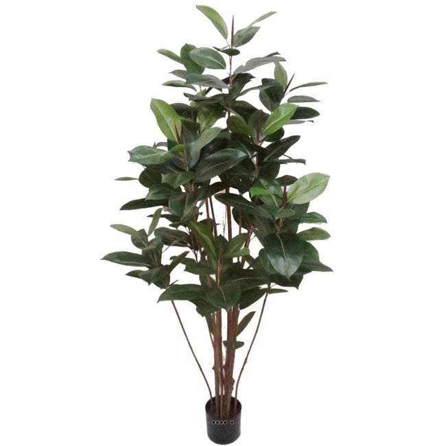 Ficus Robusta factice tronc PE en pot bea Couleur vert <span itemprop=
